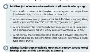 Niektóre postanowienia małej ustawy reprywatyzacyjnej