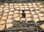 Garbarnie w Indiach: Jaki jest prawdziwy koszt skórzanych butów