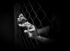 W Polsce żyje ok. 181 tys. niewolników. „Modern Slavery"