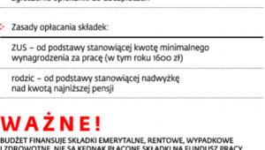 Pomoc w legalnym zatrudnieniu niani