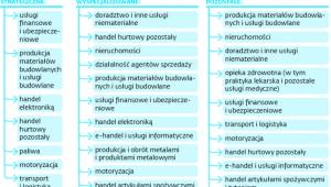 Jakie branże będą kontrolowane przez urzędy skarbowe w 2016 r.