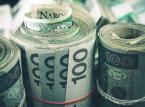 Kto płaci podatki w Polsce? MF ujawnia dane finansowe największych firm