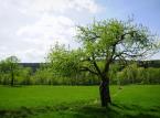 Natura 2000 będzie większa. Samorządy chcą rekompensat