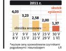 Ogórkowy strach paraliżuje Polaków: ceny tego warzywa na naszym rynku lecą w dół