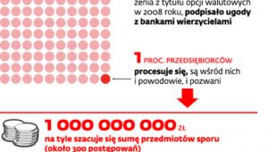 Skala zadłużeń opcyjnych