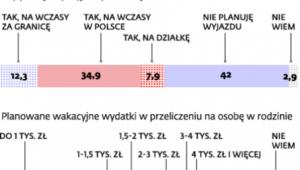 Wakacje Polaków (dane w proc.)
